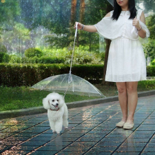  Kutya esernyő pórázzal nyakörv, póráz, hám kutyáknak