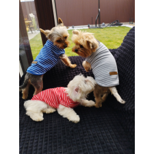  Kutyaruha - Csíkos stílusos kutyatrikó - többféle színben - XL - piros kutyaruha