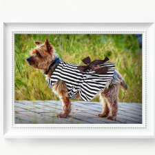  Kutyaruha - Elegáns, csíkos tüllszoknyás ruha fekete-fehér színben, barna masnival - L kutyaruha