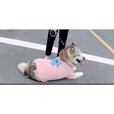  Kutyaruha - Elmo mintás póló - 5XL kutyaruha