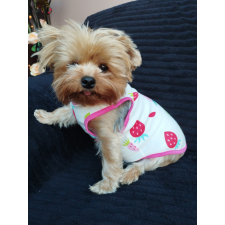  Kutyaruha - Fehér pamut trikó eper mintával - 2XL kutyaruha