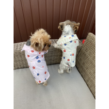  Kutyaruha - Kényelmes Stilusos Blúz - gomba mintával - kétféle színben - 2XL - rózsaszín alap kutyaruha