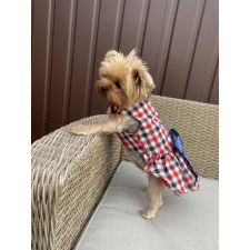  Kutyaruha - Kockás tüll szoknyás divatos ruha masnival - S kutyaruha