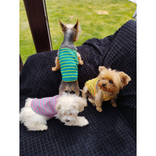  Kutyaruha - könnyed kutyatrikó - többféle színben - L - rózsaszín csíkos kutyaruha