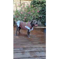  Kutyaruha - Könnyed ruha, színes csíkokkal, fodros gallérral és aljjal - Nagy kutyáknak! - 5XL kutyaruha