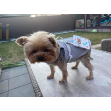  Kutyaruha - Könnyű, hálós anyagú trikó, hátul stílusos kistáskával - ezüst színben - M kutyaruha