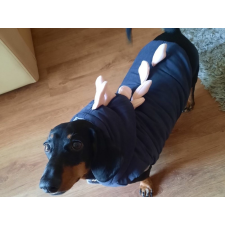  Kutyaruha - kutyakabát - kutyamellény - Dínós, bélelt, kapucnis, - többféle színben - 2XL - kék kutyaruha