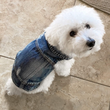  Kutyaruha - Kutyakabát - Kutyamellény - Ujjatlan, tépett farmer Kutyamellény 3színben - XL - kék kutyaruha