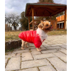  Kutyaruha - Kutyakabát - Szőrmés, bélelt - többféle színben - L - piros