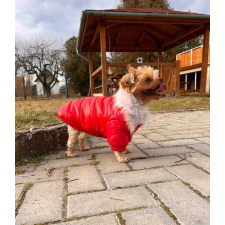  Kutyaruha - Kutyakabát - Szőrmés, bélelt - többféle színben - M - kék kutyaruha