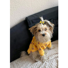  Kutyaruha - Kutyapulóver - Kutyapulcsi - Maci mintával - M kutyaruha