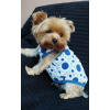  Kutyaruha - Nyári, kék/fehér pöttyös kutyatrikó, csipkés anyaggal - M