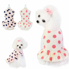  Kutyaruha - Pöttyös, Pamut ruha - kétféle színben - M - fehér/rózsaszín pöttyös kutyaruha