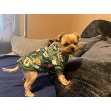  Kutyaruha - Puha Karácsonyi Pulóver - 2XL - zöld kutyaruha