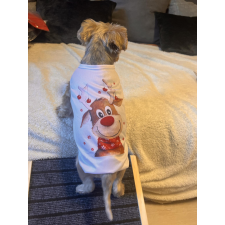  Kutyaruha - Rászarvas karácsony - XL kutyaruha