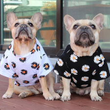  Kutyaruha - Rövidujjú, virágmintás kutyapóló - kétféle színben - XL - fehér kutyaruha