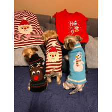  Kutyaruha - S-5XL Tèli meleg pulcsik - XL - piros/fehér kutyaruha