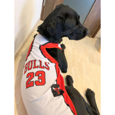  Kutyaruha - Sportmez - Bulls - M kutyaruha