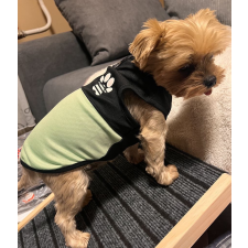  Kutyaruha - Tappancs trikó - L - zöld kutyaruha