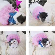  Kutyaruha - Vékony farmerruha masnival és tüllszoknával - M kutyaruha