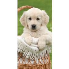  Kutyás Cart fürdőlepedő, strand törölköző 70x140cm lakástextília