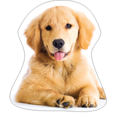  Kutyás Golden Retriver formapárna, díszpárna 35x35 cm lakástextília