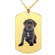  Kutyás medál (14) lánccal, választható több formában és színben nyaklánc
