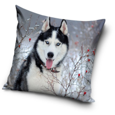 Kutyás párna, díszpárna 40*40 cm lakástextília