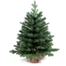 LAALU karácsonyfa cserépben - Bernard fenyőfa, 90 cm (LAU-1457) műfenyő