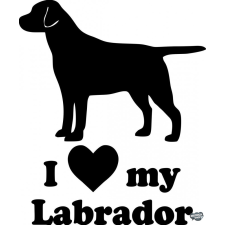  Labrador matrica 11 matrica