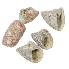  Lali szárított falfestékes mud zöld 24 dkg/csom dekorációs kellék