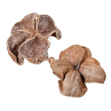  Landlotus zúzmarás 10db-os dekorációs kellék