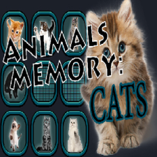 Laush Studio Animals Memory: Cats (PC - Steam elektronikus játék licensz) videójáték