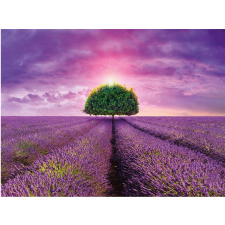 Lavender Field 2000 darabos puzzle puzzle, kirakós