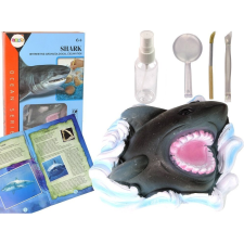 leantoys Ammonit Cápa Ásatási Oktatókészlet 14062 (14062) oktatójáték