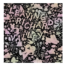  Leaving Richard's Valley – Michael Deforge idegen nyelvű könyv