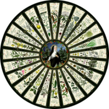 Leben mit der Natur - Hildegard von Bingen, Wandkalender – Barbara Behr naptár, kalendárium
