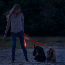 [] LED-es póráz - akkumulátoros - 120 x 2,5 cm - piros nyakörv, póráz, hám kutyáknak