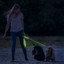 LED-es póráz - akkumulátoros - 120 x 2,5 cm - zöld nyakörv, póráz, hám kutyáknak