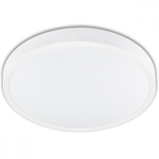 LED felületre szerelhető mennyezeti fürdőszobai lámpa 12W 4000K IP44 ZOE Fehér 30cm világítás