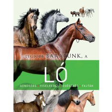  Legjobb barátunk a ló gyermek- és ifjúsági könyv