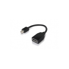 Lenovo Mini-DisplayPort > DisplayPort Adapter kábel Fekete kábel és adapter