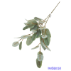  Leveles ág 95cm - Hamvas Zöld