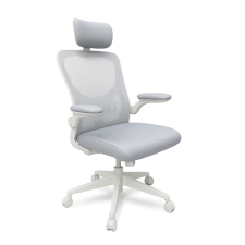 Leziter Flexo ergonomikus irodai forgószék deréktámasszal forgószék