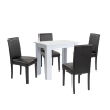 Leziter Leon 4+1 étkező garnitúra fehér-fekete