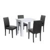 Leziter Leon 4+1 étkező garnitúra fehér-fekete