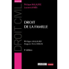 LGDJ Droit de la famille – Malaurie,Fulchiron (Brožovaná)