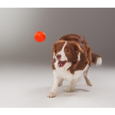  Liker narancssárga labda kutyáknak (9 cm) játék kutyáknak