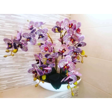 Lila 4 virágos orchidea kerámia kaspóban dekoráció