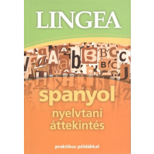  Lingea spanyol nyelvtani áttekintés /Praktikus példákkal nyelvkönyv, szótár